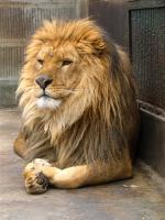 Chengdu Zoo
